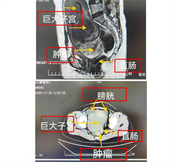 微信图片_20240624103844.jpg