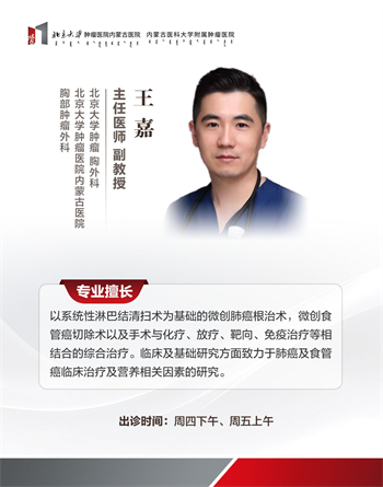 王嘉.jpg