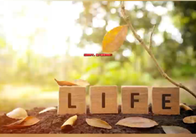 不是放弃，而是换一种方式爱与守护