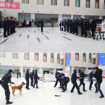 拼图_美图设计室 (4).jpg 拼图_美图设计室 (4).jpg